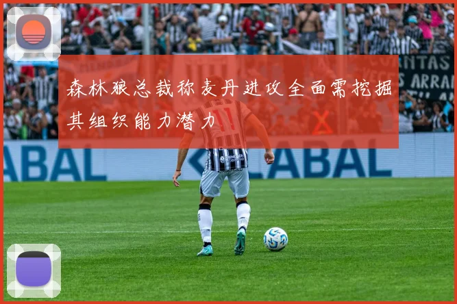 森林狼总裁称麦丹进攻全面需挖掘其组织能力潜力