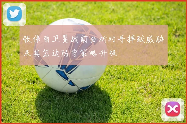 张伟丽卫冕战前分析对手摔跤威胁及其笼边防守策略升级
